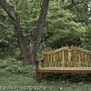 Park Bench in Belmont Ma 