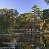 Pond at the Forestdale Cemetery in the Spring - Malden MA